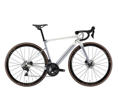 China 700C 22speed Carbon Frame SUNPEED Professional Lightweight INVINCIBLE Road Bike for sale