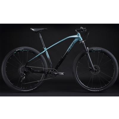 China Racing NEW SUNPEED CHEETAH MY20 Aluminum Mountain Bike 12 Speed for sale