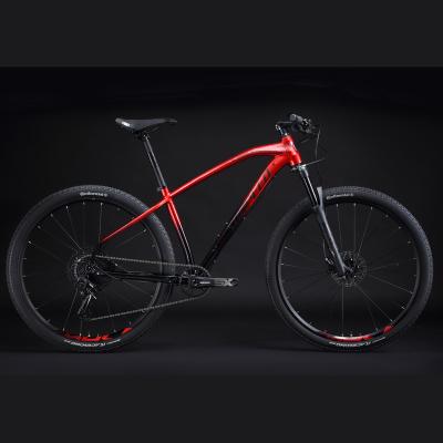 China NEW MY20 Mountain Bike CHEETAH SUNPEED Qualified Cheap Downhill Racing Bike for sale