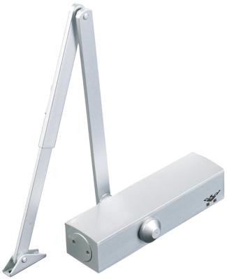 China Modern Emergency Exit Door Series Furniture Matelware Overhead Concealed Door Closer Different Size 096 zu verkaufen