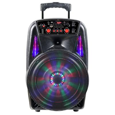 China No Party Outdoor Portable Subwoofer 12inch Karaoke Cart Home Party Player for sale