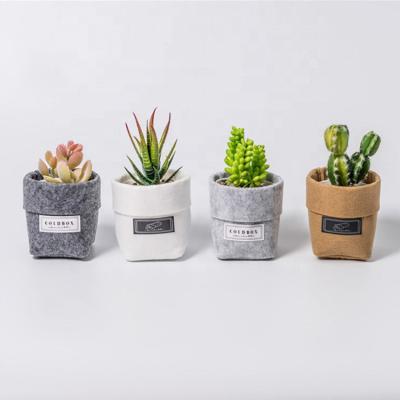 China Fashional Plant Bags Factory Direct Sales Gallon Nonwoven Planter Aeration Cloth Pots Garden Felt Grow Bags Vertical Plant Pot 5 Gallon Cloth Grow for sale