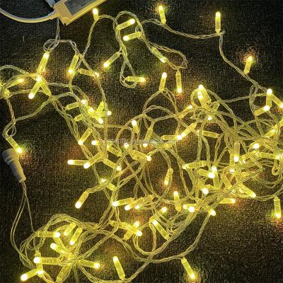 China Best Selling Holiday LED Christmas Party Garden Event Decoration Light Outdoor and Indoor Decoration Lighting RGB LED String Light for sale