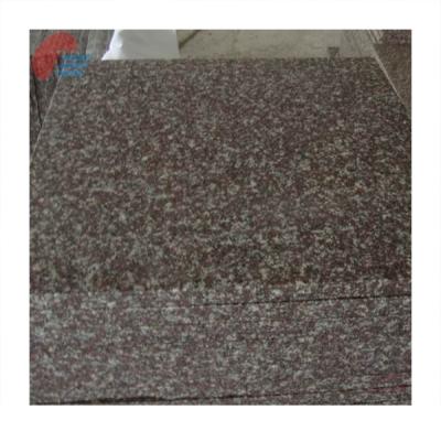 China Modern G664 Granite Polished Tiles For Interior Project Stairs for sale