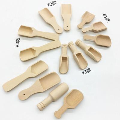 China Viable Mini Home Use Wood Bath Salt Spoon Seasoning Mini Powder Tea Small Wooden Spoons for sale