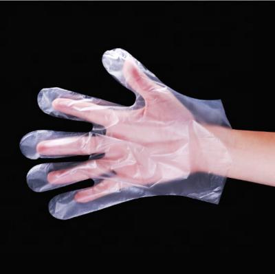 China Household Durable Universal Disposable Gloves Clear Kitchen Transparent Food Service Handling Pe Plastic Gloves for sale