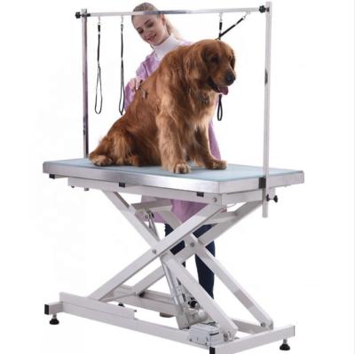 China Viable Essential Pet Salon Pet Grooming Equipment Electric Pet Grooming Table With Led Lighting for sale