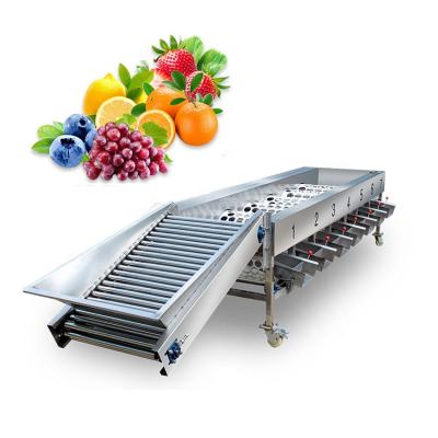 China High Efficiency Easy Operate Sorter Fruit Sorter Potato Grading Machine Efficient Automatic Price Fruit Grading Machine for sale