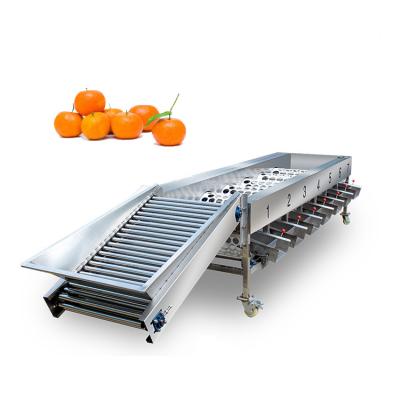 China High Efficiency Easy Operate Fruit Washing Grading Machine Circular Sorter Mango Fruit Drying And Sorting Grading Machine for sale