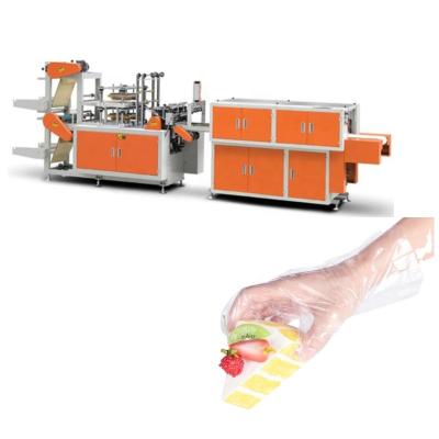 China Hotels Quality Assurance Disposable Biodegradable Pe Plastic Hand Gloves Making Machine for sale