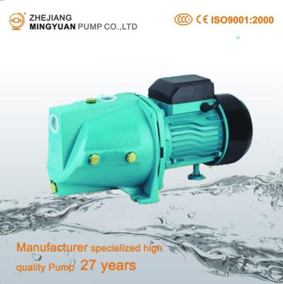 China Water Lift Low Cost Design Pump Water Supply For Garden Irrigation for sale