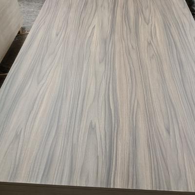 China Modern Best quality plywood board face back used melamine plywood board veneer for furniture skin for sale