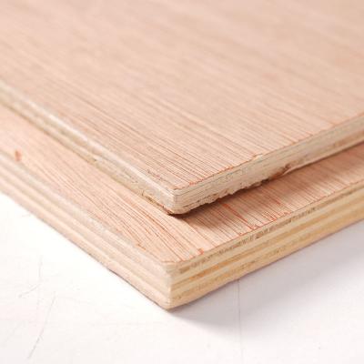 China Modern EV Poplar Engineered veneer Poplar Plywood for sale