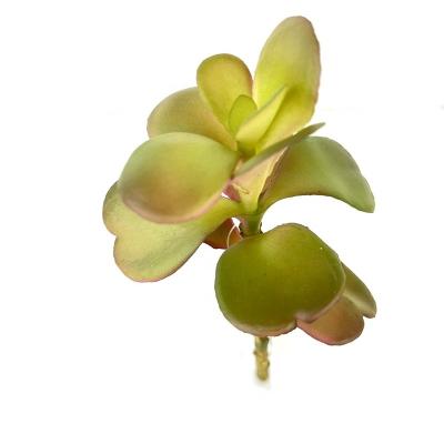 China Hot Succulent Plant Decoration Wholesale Direct Sales Artificial Plants Succulent Plants For Home Decor Fake Succulent for sale