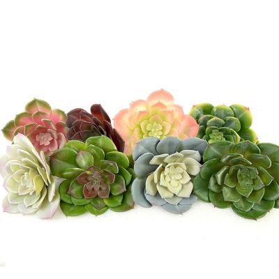 China Decoration Home Office Table Colorful Plastic Decorative Fake Flower Plant Top Artificial Succulent Plants for sale