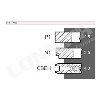 China CNH Machinery Repair Shops Tractor Piston Ring 8035.04, 8045.04, 8055.04, 8055.05, 8065.04 for sale