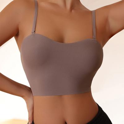 China Hot Sexy Seamless Crop Waist Vest Bra QUICK DRY Women's Fitness Yoga Sports Bra Top for sale