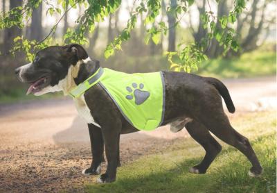 China Grüne/Gelbhallo Kraft Haustier-Sicherheits-Weste, Gebrauch Hundeim freien reflektierende Sicherheitsweste zu verkaufen