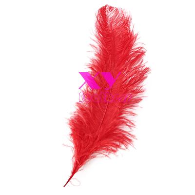 China 75-80cm Long Ostrich Feather Wall Bachelor Party Supplies Happy Birthday Wedding Decoration Backdrop for sale