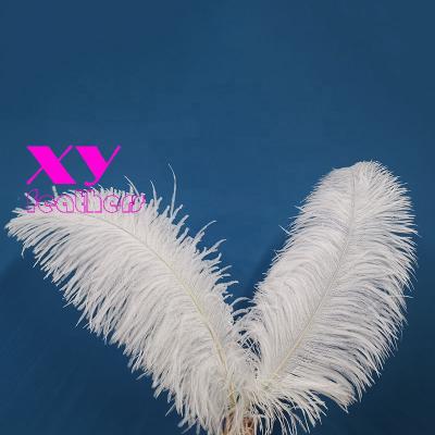 China Party Carnival High Quality White Ostrich Wing Feather 70-75cm Large For Wedding Party Decorations for sale