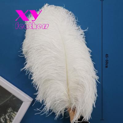 China Wholesale Party Ostrich Feather 70-75cm Carnival Costume Headdress for sale