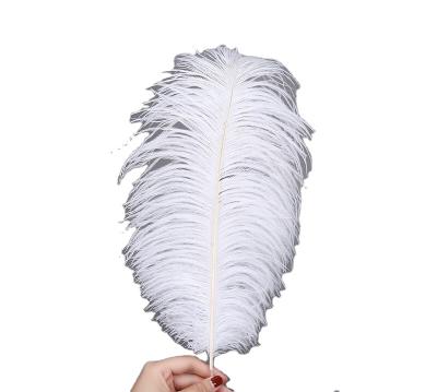 China 30-35cm Cheap Dyed Ostrich Feather Part Wholesale Export Selected Main Quality For Sale Feather Earrings for sale