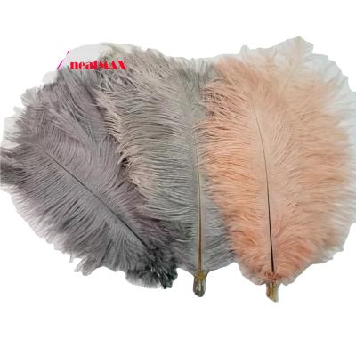 China Natural and dyed 45-50cm high quality ostrich feather part for diy dream catcher decoration for sale