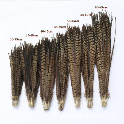 China Black Pheasant Feathers Zebra Pheasant Feathers Durable Cheap Bleached And Dyed Black Feathers for sale