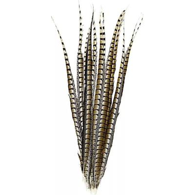 China Wholesale Quality Long Lasting Chosen Natural Lady Amherst Pheasant Feather For Carnival Costumes for sale