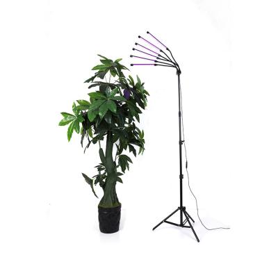 China Seed Starting Selling 6 Head Floor Grow Light 30w Full Spectrum Led Grow Lights With Adjustable Tripod Stand for sale