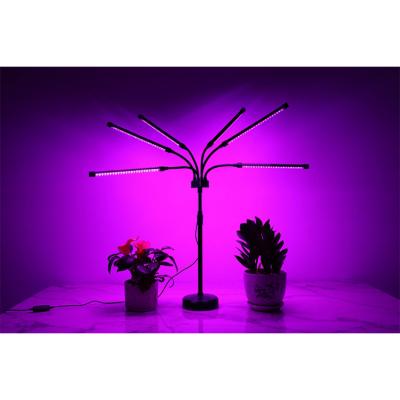 China Seed Starting 6 Head Bend Led Succulent Growth Light Hydroponic Indoor Plant Grow Light for sale