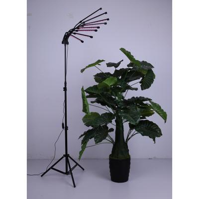 China Seed starting new type 8 head price led grow lights installation design floor lamp with stand for sale