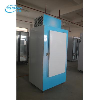 China Freezers Door Ice Storage Merchandiser Bags Ice Freezer Cabinet Wheel / Stainless Steel Single Leg Glass Freezers, Display Cooler 300l CE for sale