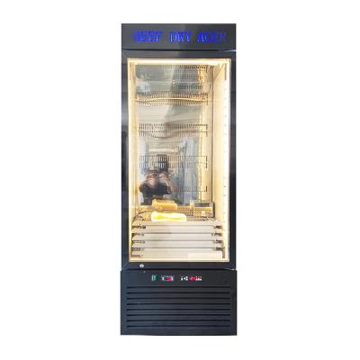 China Commercial Steak Storage Beef Meat Single-Temperature Dry Cheese Age Curing Chamber Fridge Refrigerator Cabinets for sale