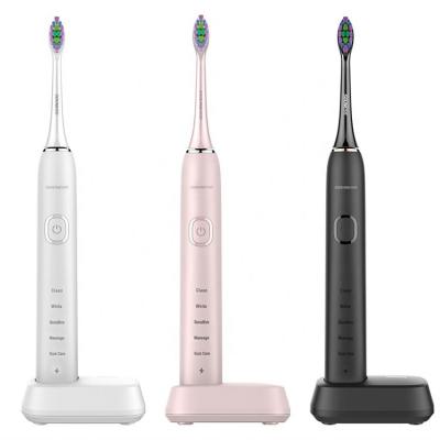 China Best Prices Battery Operated Brush Oral Teeth Care Gum Massage Vibrating Led Electric Toothbrush for sale