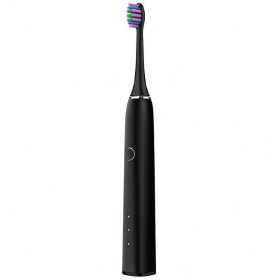 China Sonic Tooth Brush Rechargeable Ultrasonic Battery Operated Travel Electric Toothbrush For Adults for sale