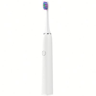 China Custom Logo Adult Battery Operated USB Sonic Electric Toothbrush Oral White Waterproof Rotating Rechargeable for sale