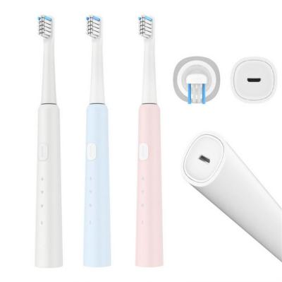 China Oral Care Factory USB Rechargeable Battery Operated Vibrate Automatic Sonic Electric Toothbrush for sale