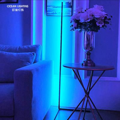 China Nordic Luxury Modern Smart Floor Lamp Designer OCEAN Design RGB LED Floor Lamp Modern Corner Floor Lamp Minimalist Stand for Bedroom for sale