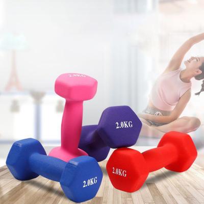 China Fitness Body Small 10Kg Hex Wieghts Dumbbell Set for sale