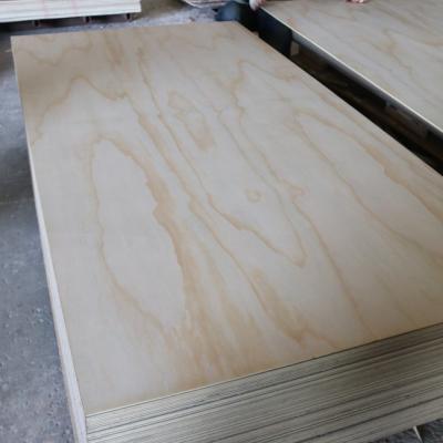 China Natural Beech Modern Veneer Plywood Panels for sale