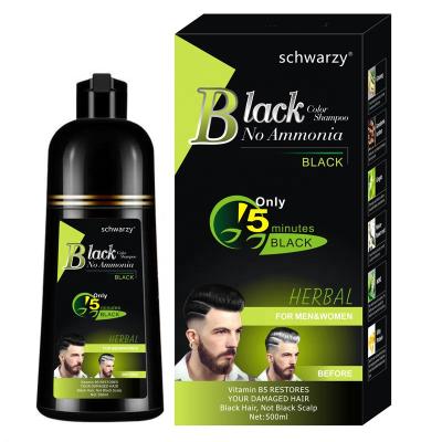 China For Salon and Family Use Private Label Hair Color Professional Fast Easy Tarnish Shampoo No Ammonia Hair Dye Shampoo for Men and Women for sale