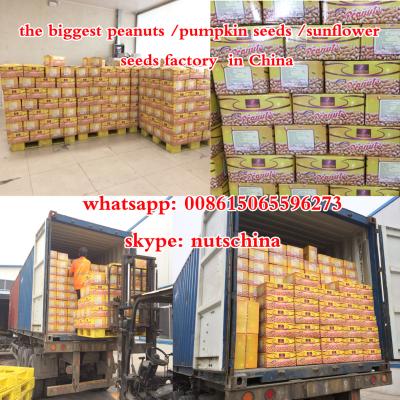 China Dry bulk roasted fried peanuts 10kgs 20kgs 25kgs for sale