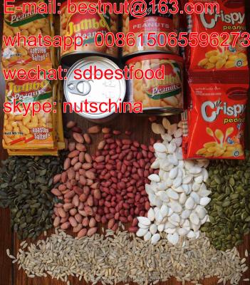 China DRY CHINESE SHANDONG ROASTED SALTED PEANUTS FOR IRAQ / GEORGIA / FIJI / canada usa australia for sale