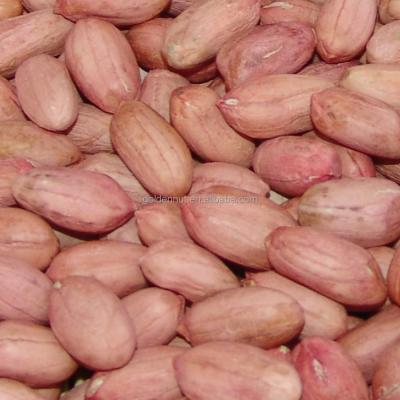 China Dry peanut kernels-24/28-28/32-34/38 for sale