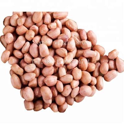 China Wholesale Raw Organic Blanched Peanut Dry For Edible for sale