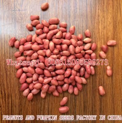 China CHINA Shandong Dried Red Skin Peanuts 50/60 FOR MACEDONIA /ALBANIA/NETHERLAND/TUNISIA/morocco/spain for sale