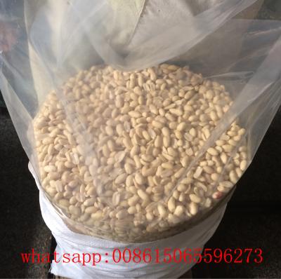 China Shandong Dried China Blanched Peanuts 25/29 29/33 35/39 (VIRGINIA TYPE) for sale