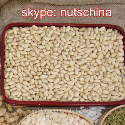 China Dried Blanched Peanuts 25/29 29/33 35/39 (VIRGINIA TYPE) for sale