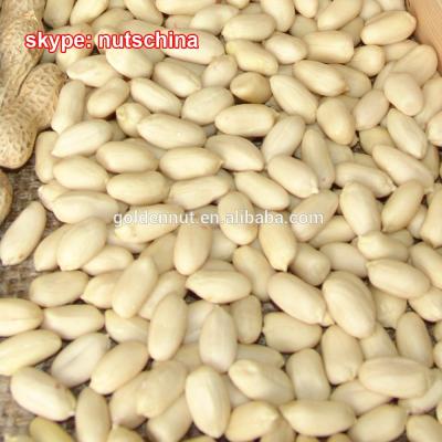 China Dried Chinese Blanched Peanuts 25/29 29/33 35/39 (VIRGINIA TYPE) for sale